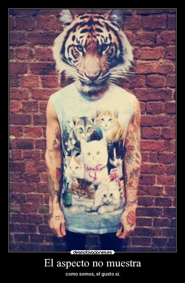 El aspecto no muestra -