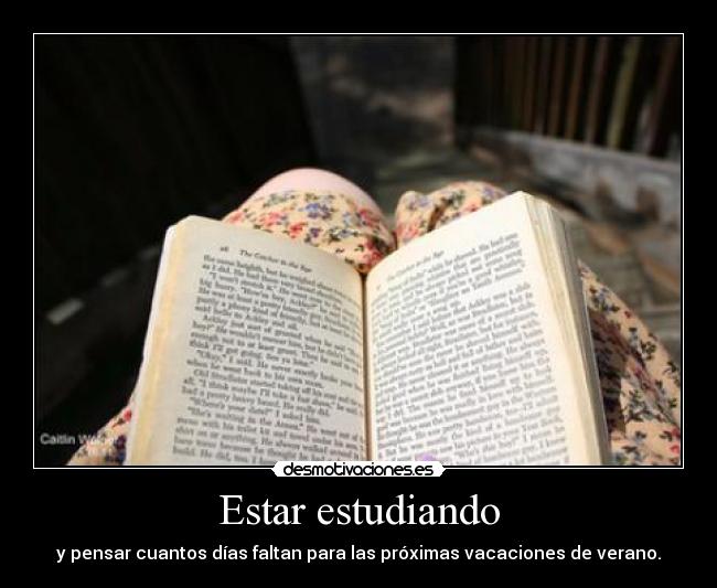 carteles jajajajaj cada dia dia menooos desmotivaciones