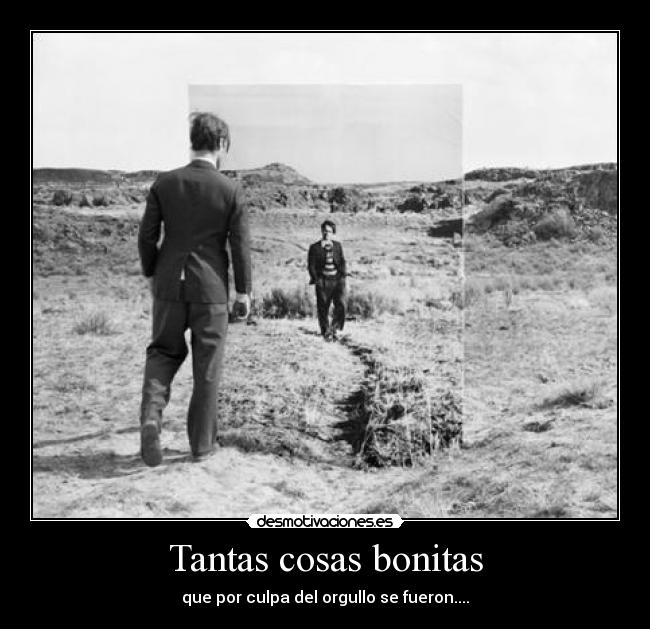 Tantas cosas bonitas -