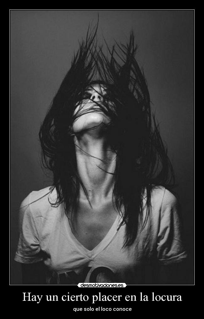 carteles locura hay cierto placer locura que solo loco conoce desmotivaciones