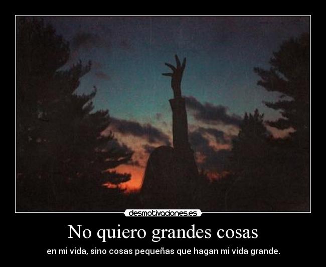 No quiero grandes cosas -