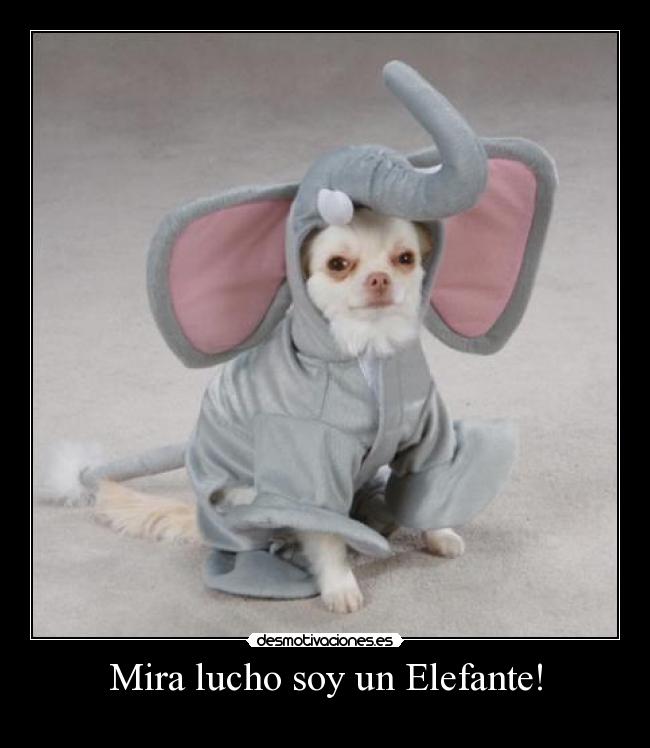 Mira lucho soy un Elefante! -