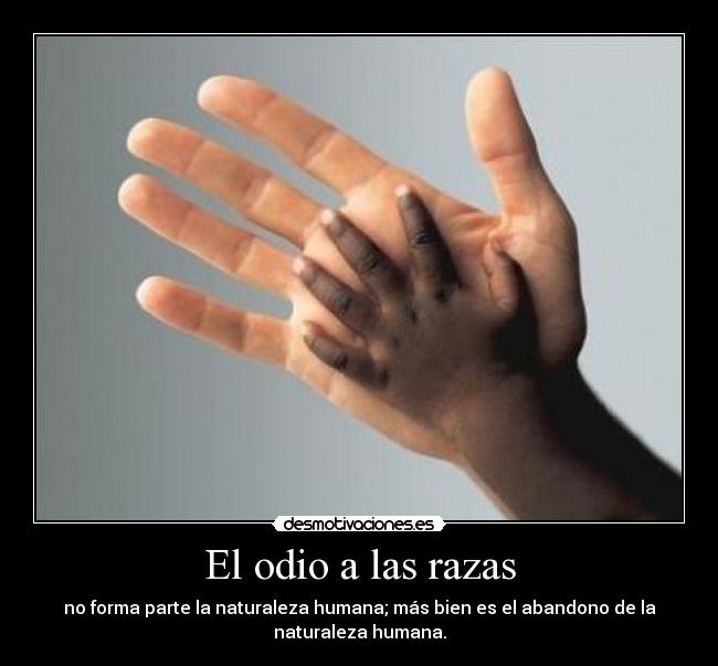 carteles odio odio las razas otra frase que gritar desmotivaciones