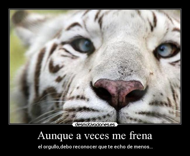 Aunque a veces me frena - 