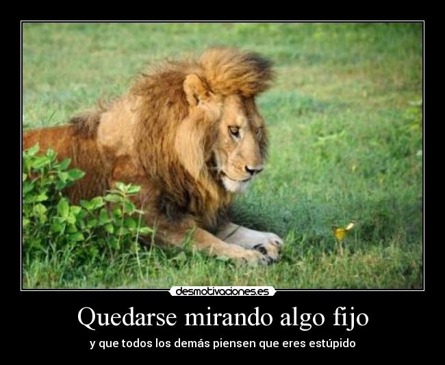 carteles leon flores mariposa desmotivaciones