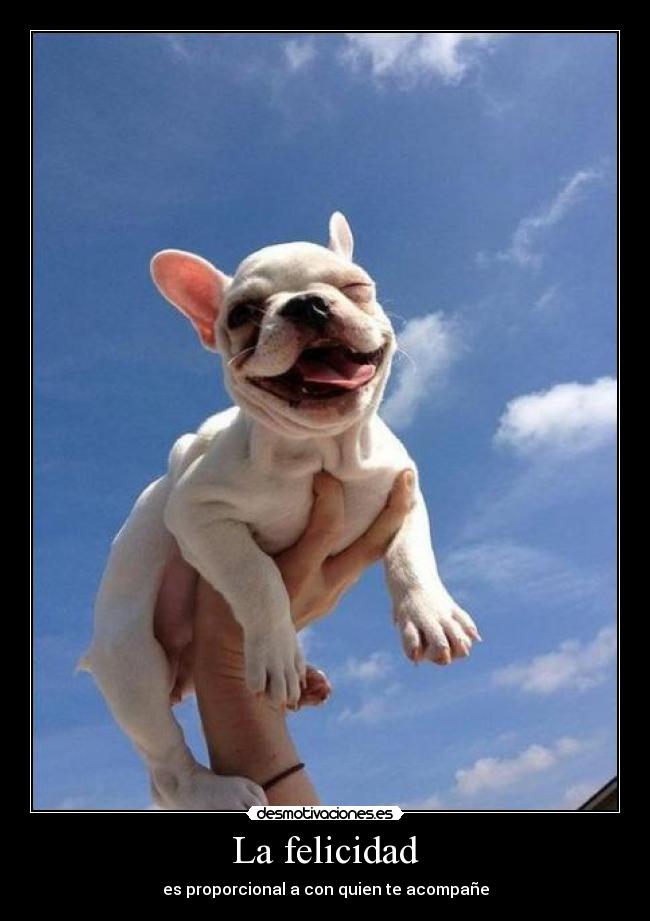 La felicidad - 