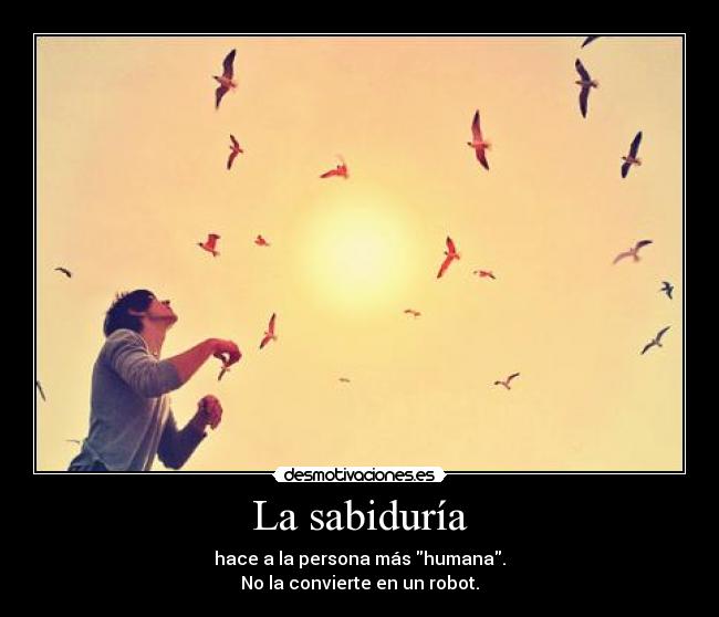 carteles sabiduria juventud extasis libro alpha desmotivaciones