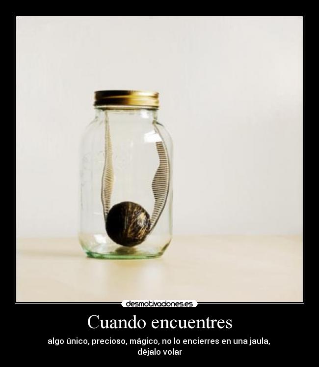 Cuando encuentres - algo único, precioso, mágico, no lo encierres en una jaula, 
déjalo volar