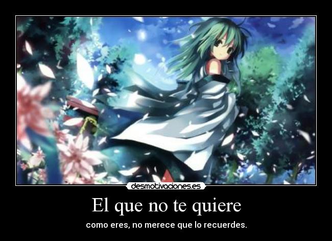 El que no te quiere - 