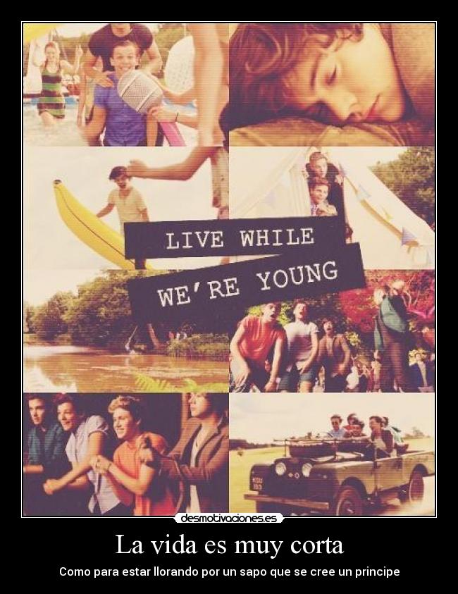 La vida es muy corta - Como para estar llorando por un sapo que se cree un principe