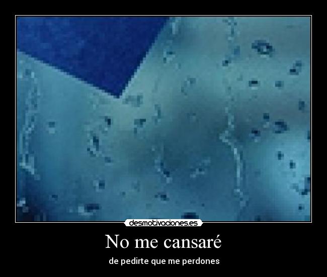 No me cansaré -