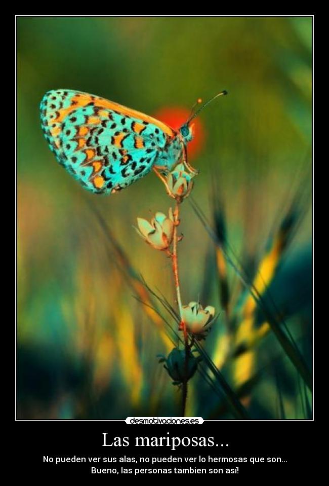 carteles personas alas mariposas desmotivaciones