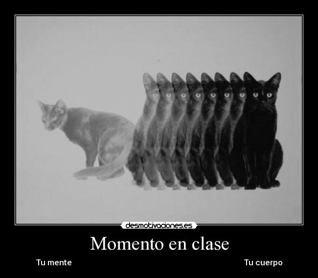 Momento en clase - 