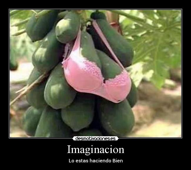 Imaginacion - Lo estas haciendo Bien