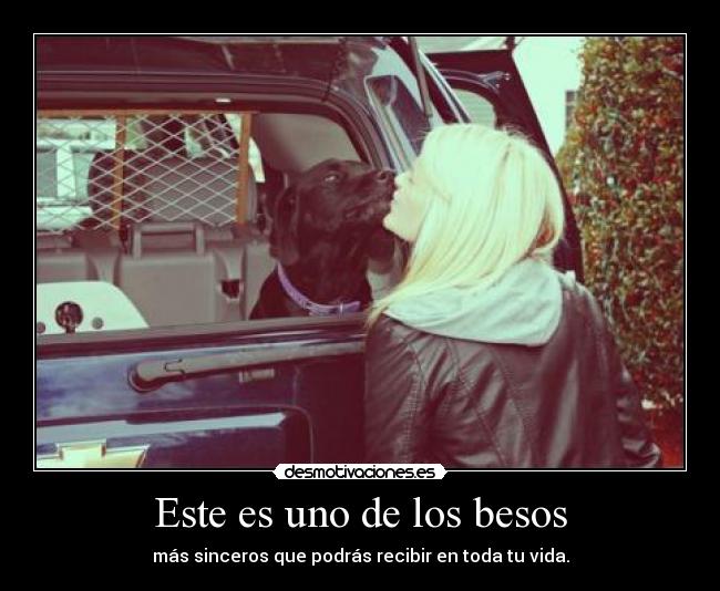 carteles besos mas razon imposible amono desmotivaciones