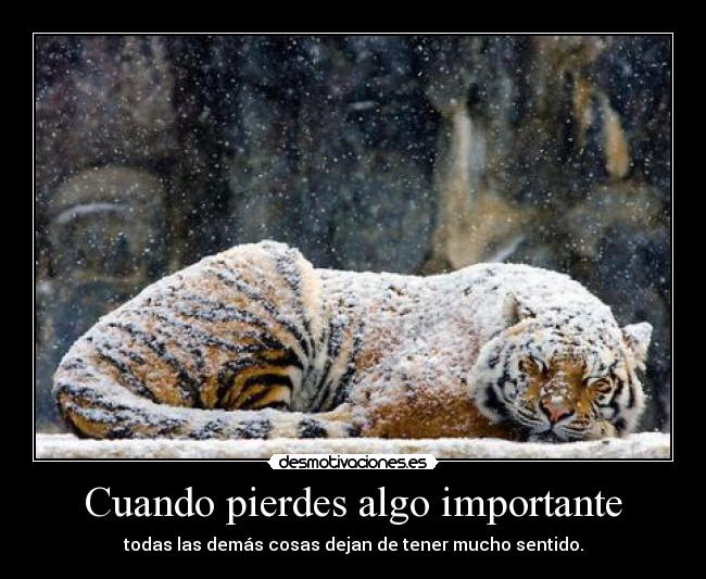 Cuando pierdes algo importante - todas las demás cosas dejan de tener mucho sentido.