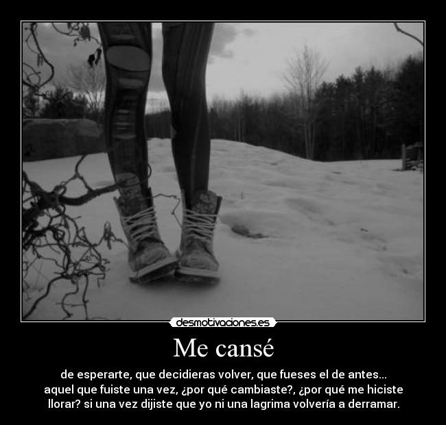 Me cansé - de esperarte, que decidieras volver, que fueses el de antes...
aquel que fuiste una vez, ¿por qué cambiaste?, ¿por qué me hiciste
llorar? si una vez dijiste que yo ni una lagrima volvería a derramar.