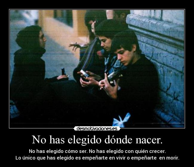 No has elegido dónde nacer. - No has elegido cómo ser. No has elegido con quién crecer.
Lo único que has elegido es empeñarte en vivir o empeñarte  en morir.