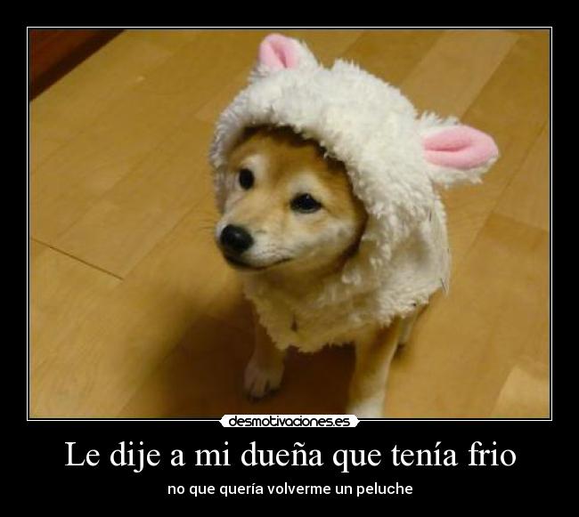 Le dije a mi dueña que tenía frio - no que quería volverme un peluche