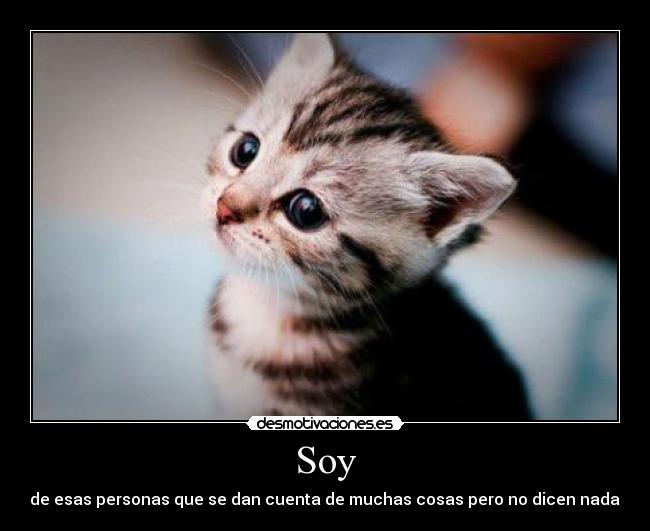 Soy - de esas personas que se dan cuenta de muchas cosas pero no dicen nada.