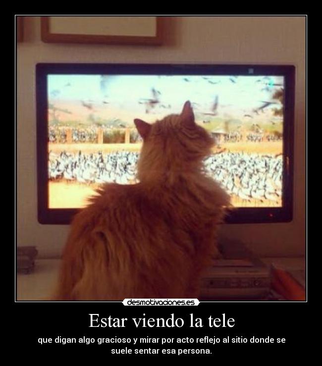 Estar viendo la tele - que digan algo gracioso y mirar por acto reflejo al sitio donde se
suele sentar esa persona.
