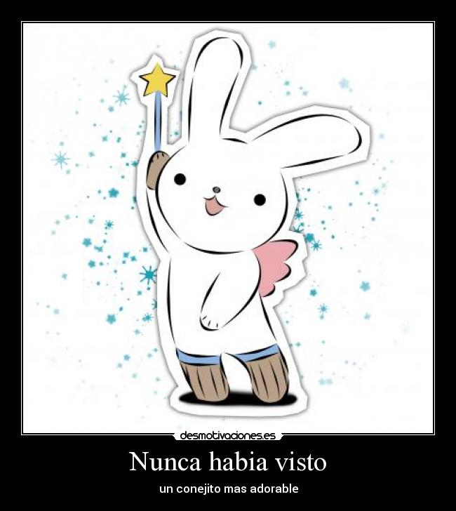 Nunca habia visto - un conejito mas adorable