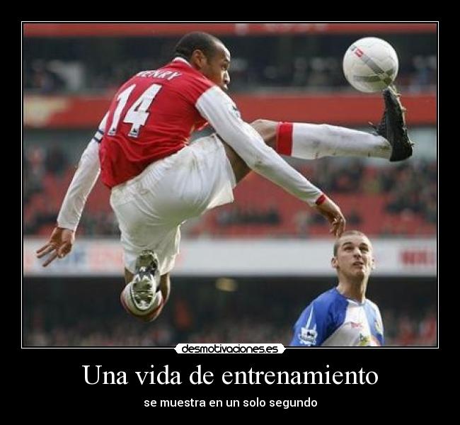 carteles vida eften henry titi desmotivaciones