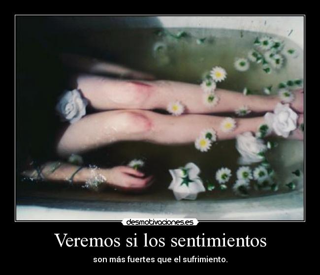 Veremos si los sentimientos - 