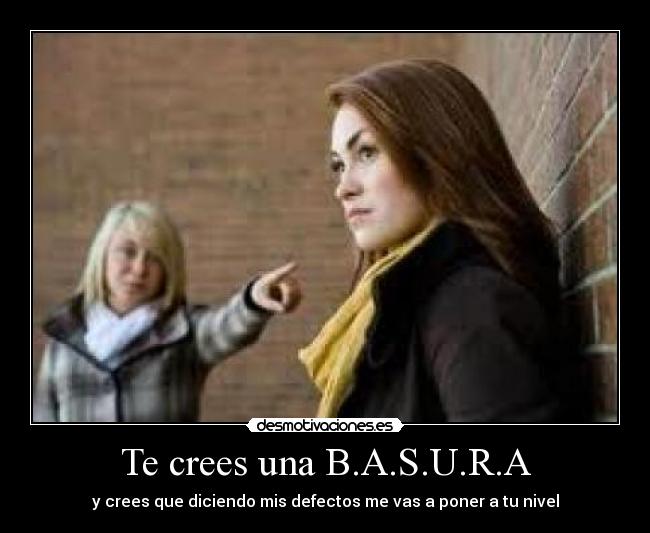Te crees una B.A.S.U.R.A - y crees que diciendo mis defectos me vas a poner a tu nivel