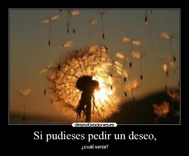 Si pudieses pedir un deseo, - ¿cuál sería?