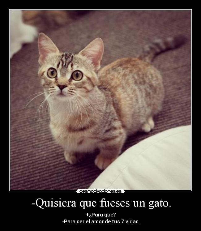 -Quisiera que fueses un gato. - +¿Para qué?
-Para ser el amor de tus 7 vidas.