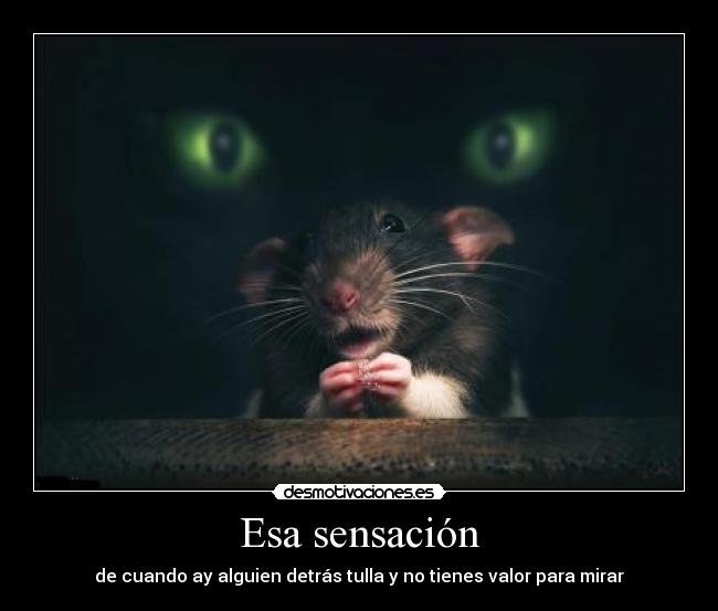 Esa sensación - 