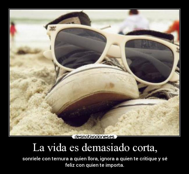 carteles vida vida demasiado corta sonriele con ternura quien llora ignore critique se feliz con desmotivaciones