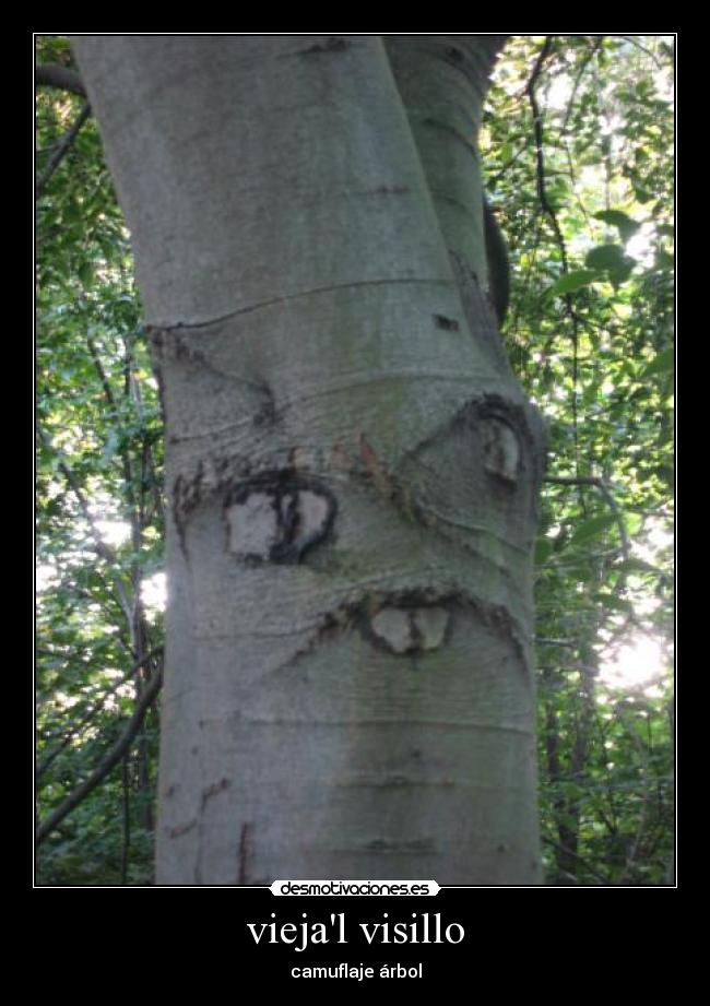 viejal visillo - 