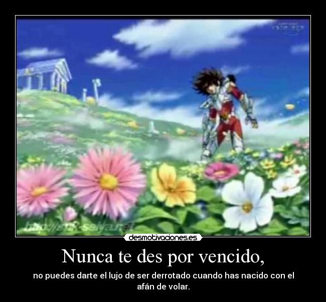Nunca te des por vencido, -
