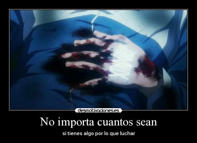 carteles hiraga saito zero tsukaima desmotivaciones