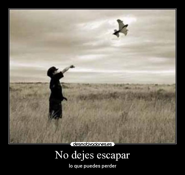 No dejes escapar -