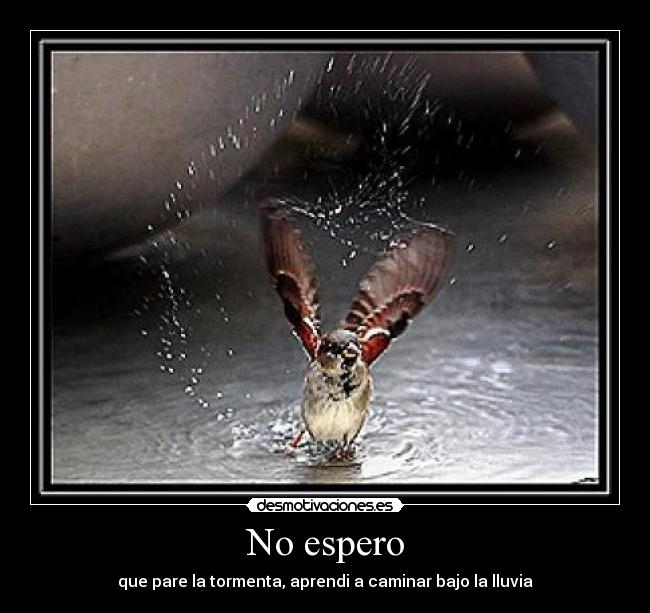 No espero - 