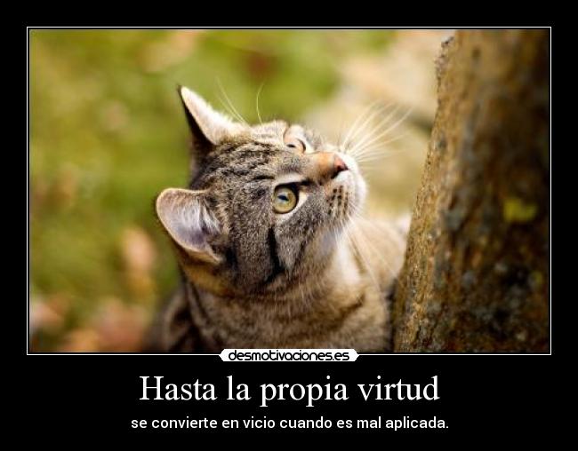 carteles asi que hay que saber cuando parar aellidon 4812 desmotivaciones