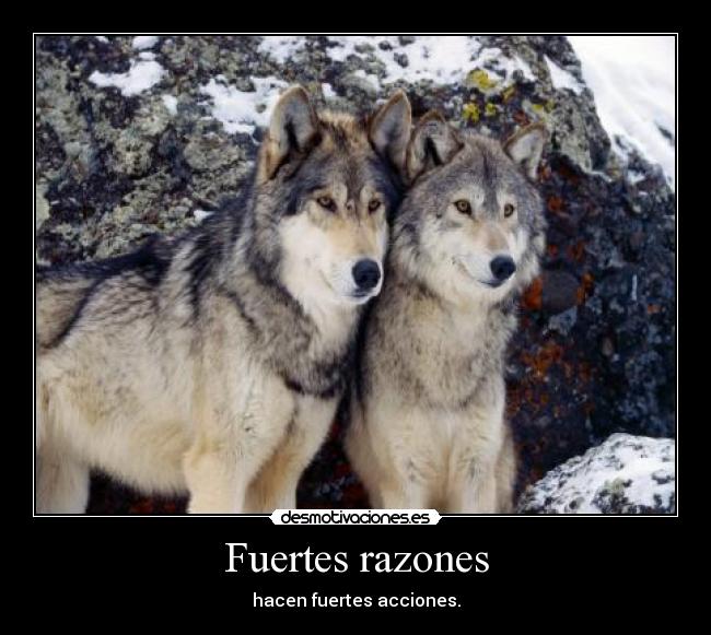 Fuertes razones - 