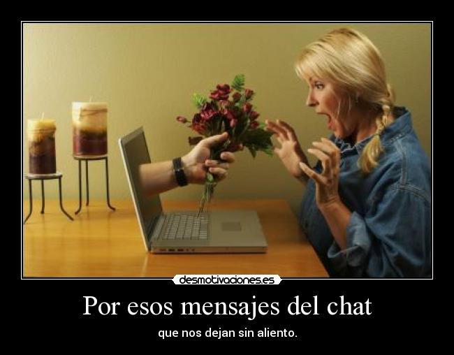 carteles chat amor florez mujer desmotivaciones
