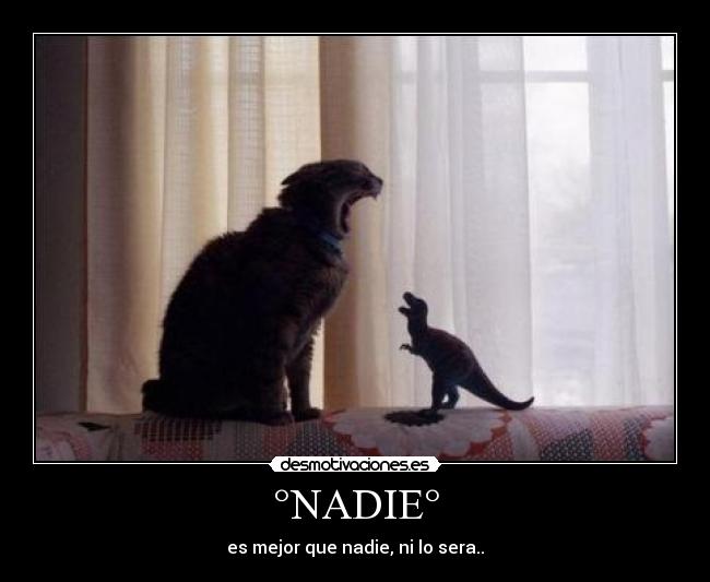 °NADIE° - es mejor que nadie, ni lo sera..