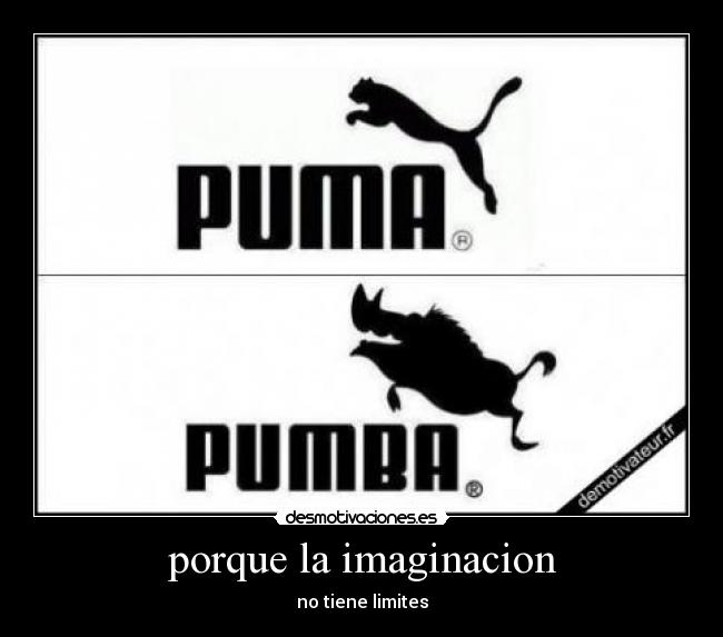 porque la imaginacion -