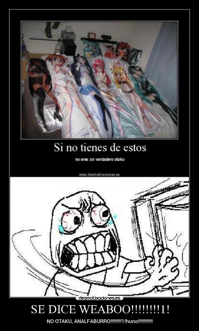 SE DICE WEABOO!!!!!!!!1! - 