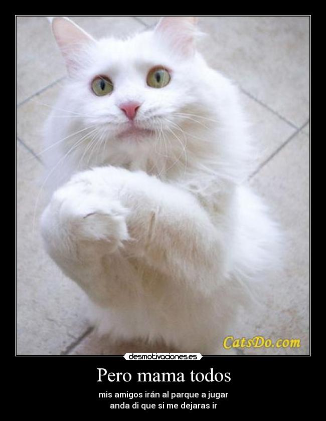 Pero mama todos - mis amigos irán al parque a jugar
anda di que si me dejaras ir