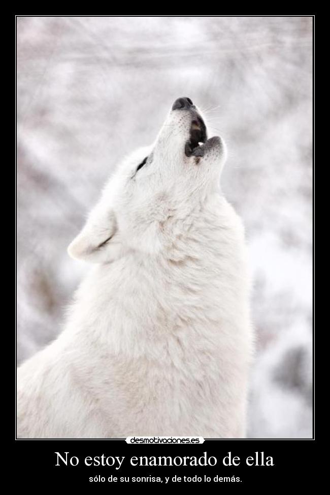 No estoy enamorado de ella - sólo de su sonrisa, y de todo lo demás.