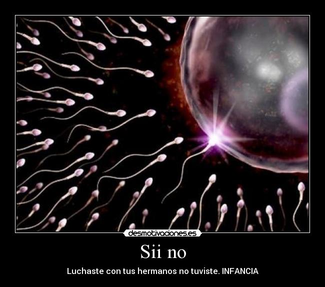 Sii no - Luchaste con tus hermanos no tuviste. INFANCIA