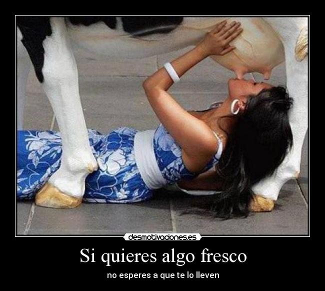 Si quieres algo fresco - no esperes a que te lo lleven