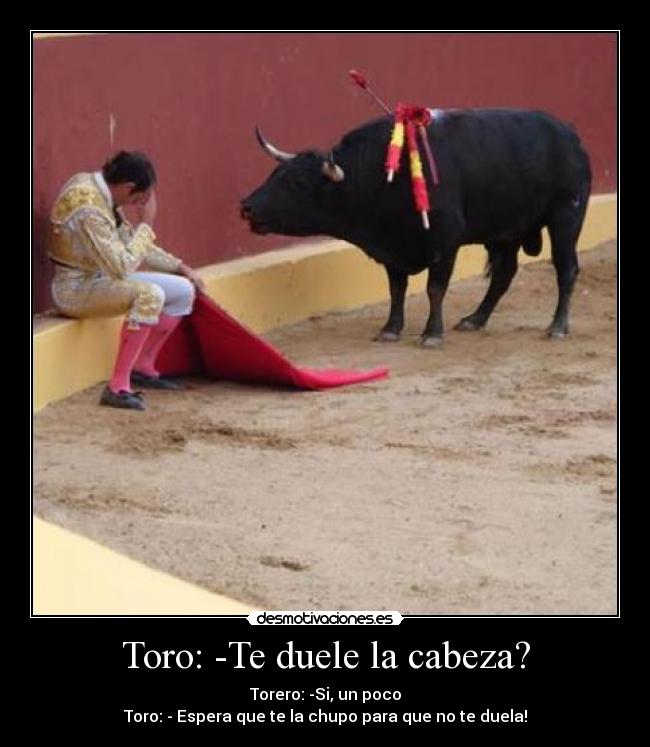 Toro: -Te duele la cabeza? - Torero: -Si, un poco
Toro: - Espera que te la chupo para que no te duela!