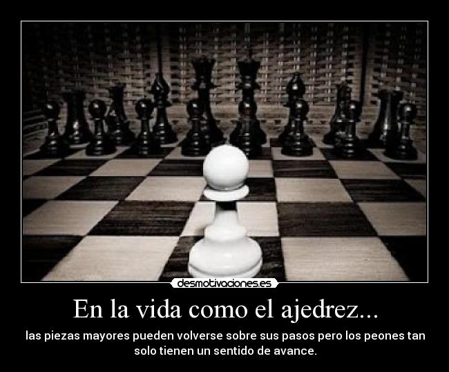 carteles vida vida como ajedrez desmotivaciones